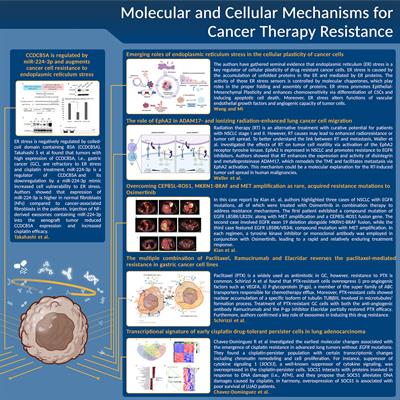 Editorial: Molecular and cellular mechanisms for cancer therapy resistance